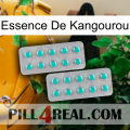 Kangaroo Essence 29
